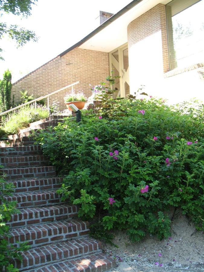 B&Logies De Duinroos Koksijde Bed and Breakfast Eksteriør billede